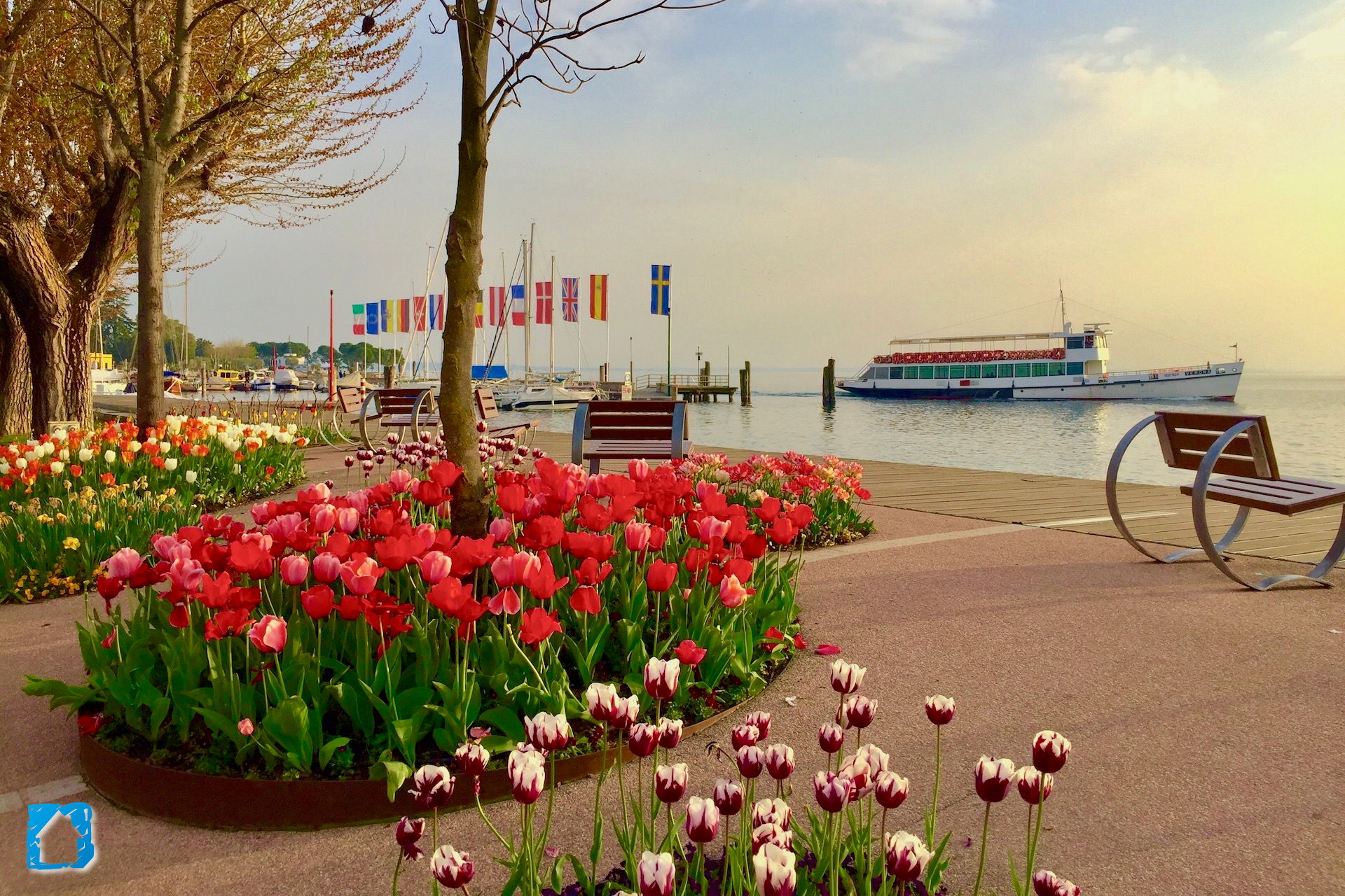 Photography of Bardolino and Lake Garda