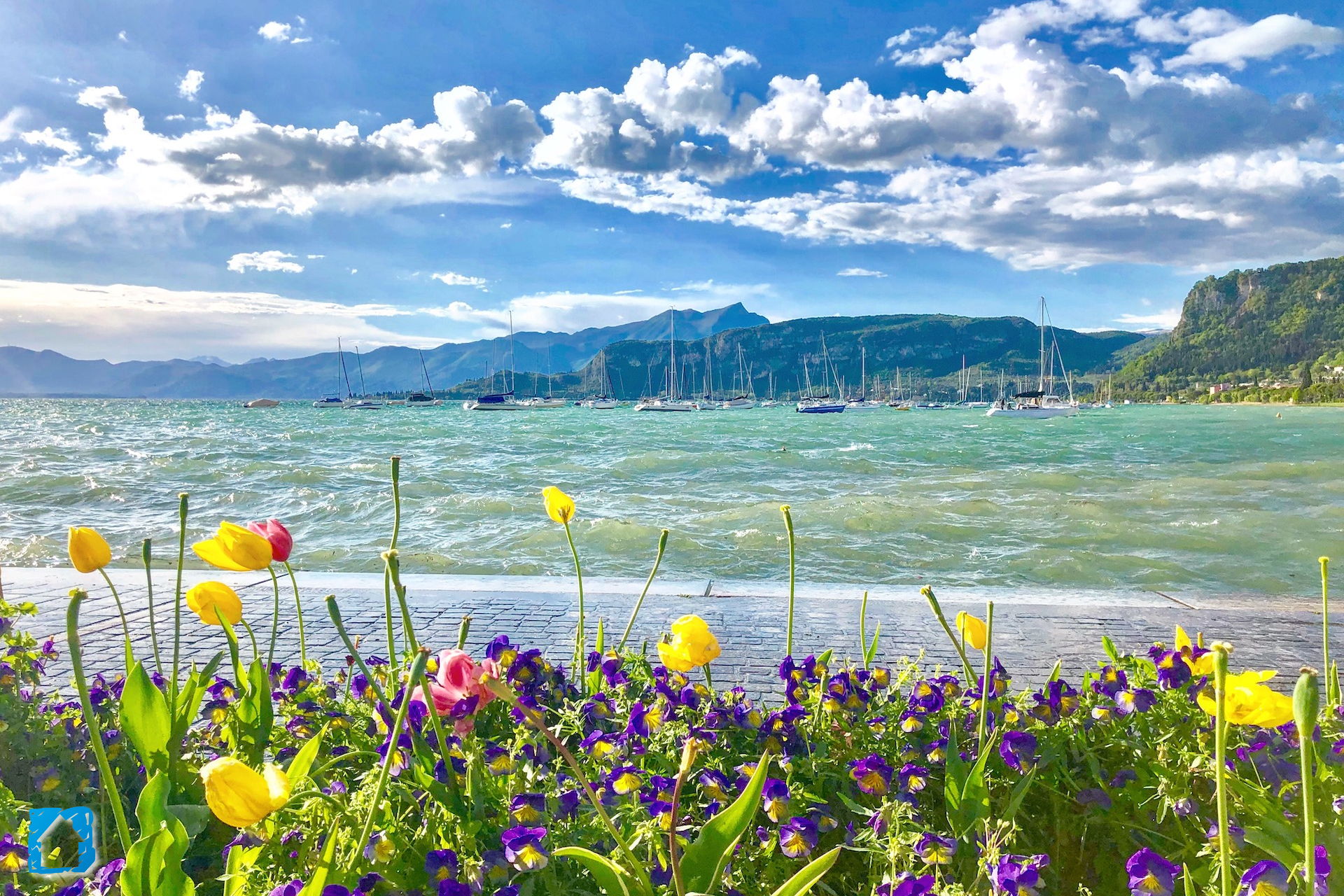 Photography of Bardolino and Lake Garda