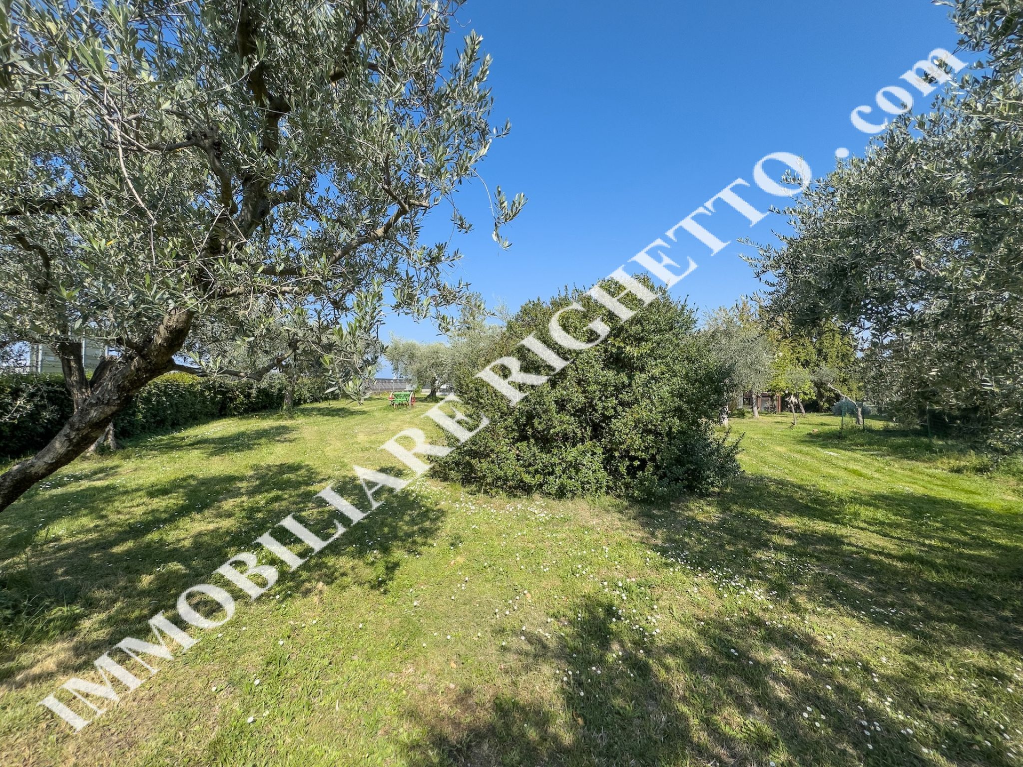offerta immobile in vendita Spaziosa villa singola immersa nel verde.